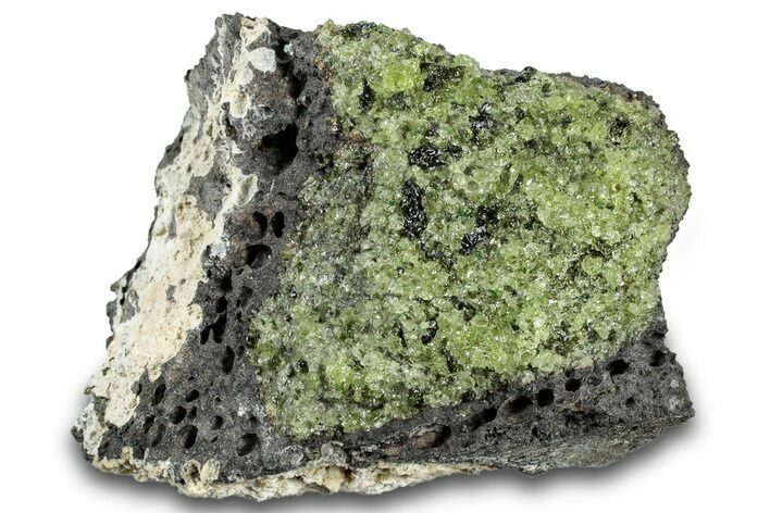 Peridot in Basalt - Arizona #300598